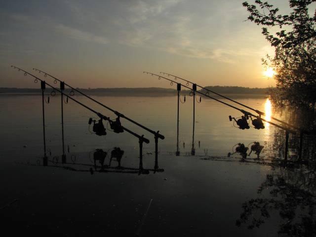 ::::::::LIKE:::::::: - 99838554508332552744077076327n.jpg